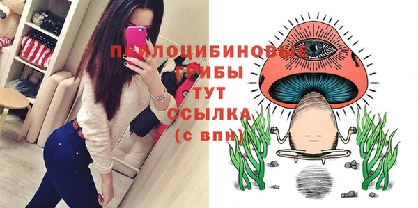 дмт Абаза