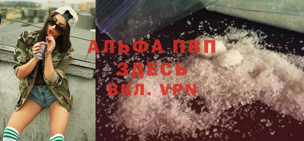 стафф Абинск