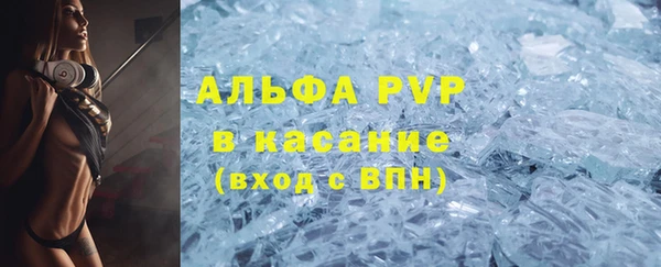 амф Ельня