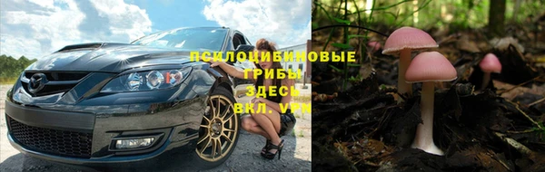 стафф Абинск