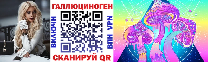 Галлюциногенные грибы мицелий  где купить наркоту  Североморск 