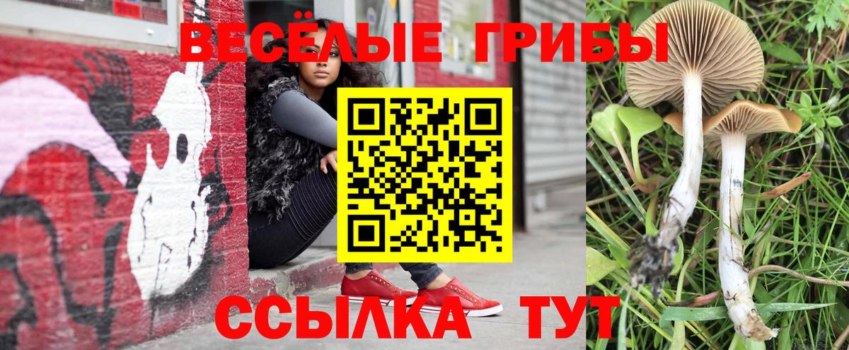 Североморск  Псилоцибиновые грибы ЛСД  Вход с VPN 